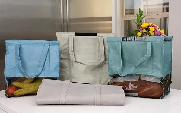 Borsa per la consegna